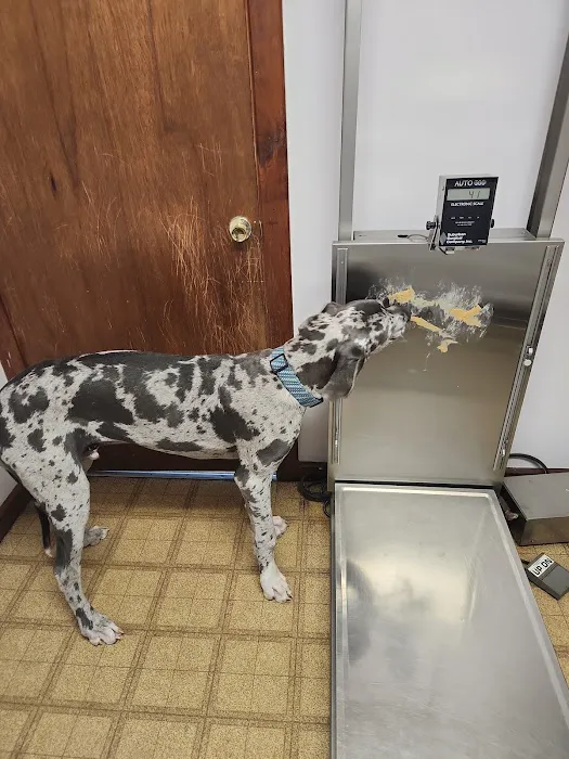 Grand Ledge Veterinary Hospital Picture 10