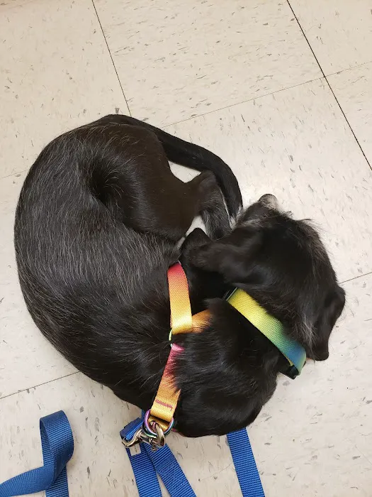 Banfield Pet Hospital Picture 1