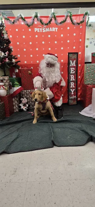 Banfield Pet Hospital Picture 8