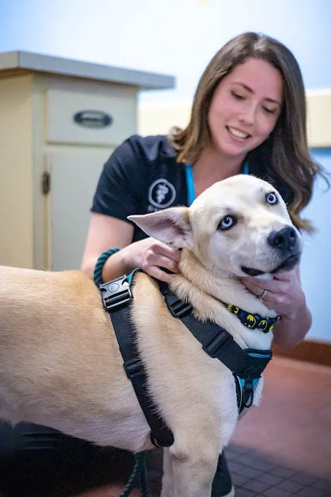 Miller Animal Clinic Picture 2