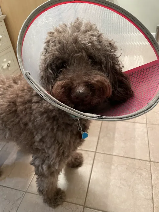 Miller Animal Clinic Picture 8