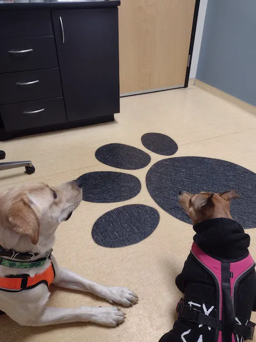 Friendship Animal Hospital Picture 5