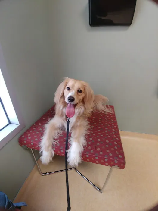 Friendship Animal Hospital Picture 10