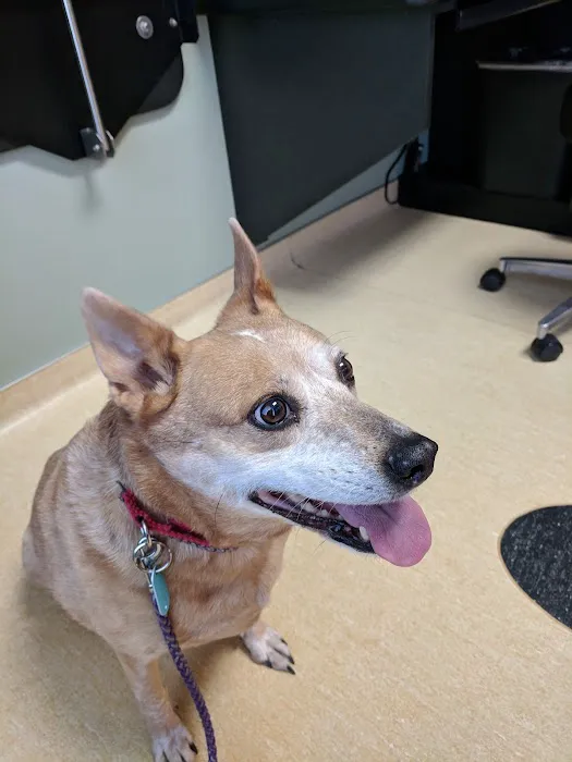 Friendship Animal Hospital Picture 8