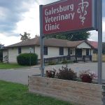 Galesburg Veterinary Clinic