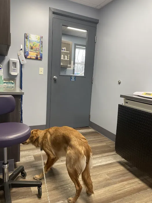 Animal Clinic Gull Road Picture 5