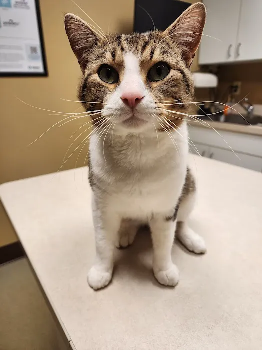 Parrett Veterinary Clinic Picture 4