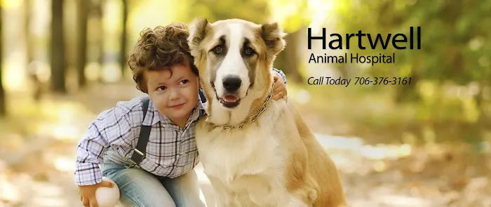 Hartwell Animal Hospital Picture 1