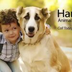 Hartwell Animal Hospital