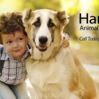 Hartwell Animal Hospital ico