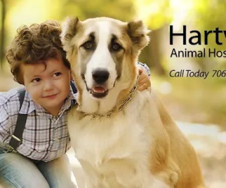 Hartwell Animal Hospital