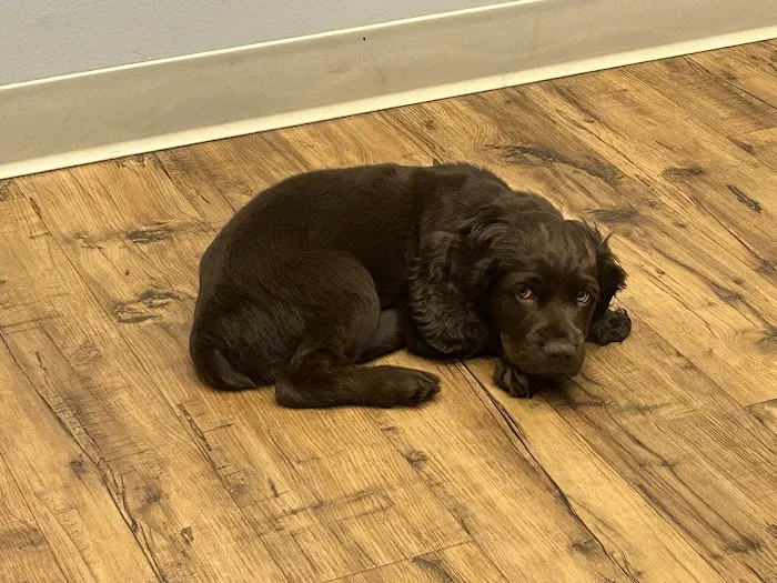 Hartwell Animal Hospital Picture 5
