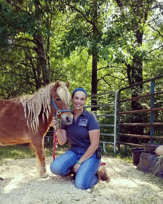 Hartwell Equine Veterinary Services Picture 3