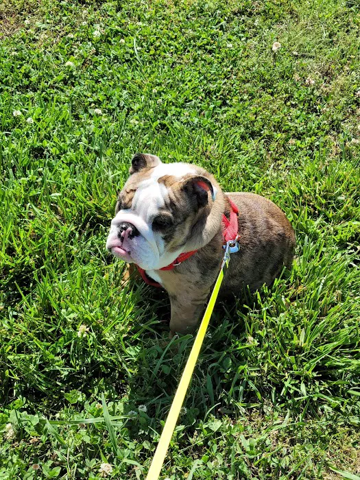 Lavonia Animal Hospital Picture 5
