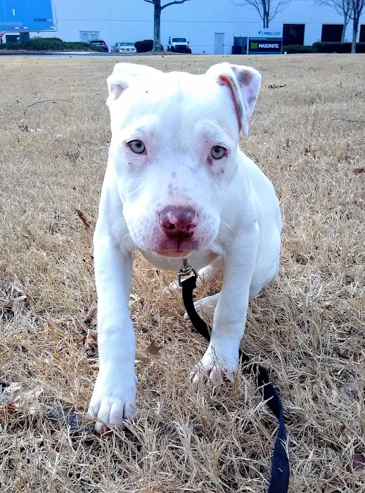 Tugaloo Animal Hospital Picture 8