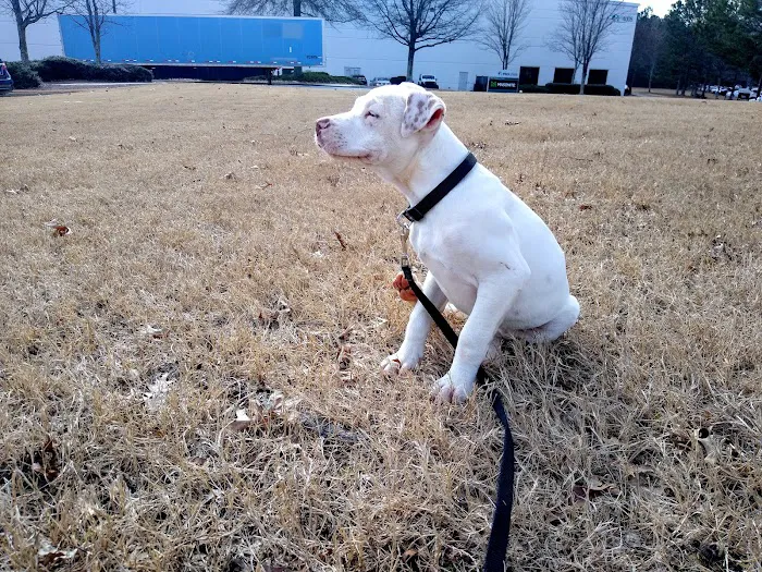 Tugaloo Animal Hospital Picture 7