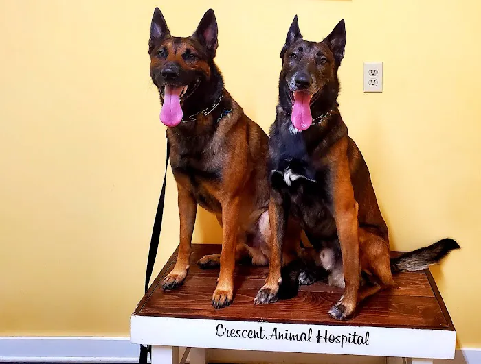 Crescent Animal Hospital Picture 5
