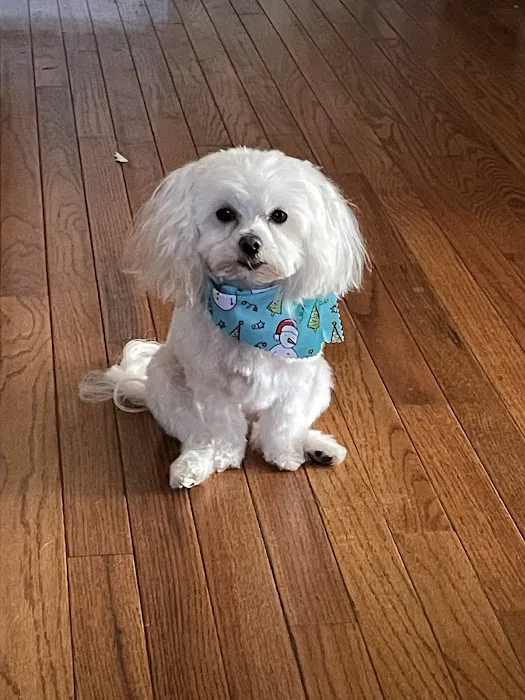 White Knoll Veterinary Hospital & Pet Resort LLC Picture 1