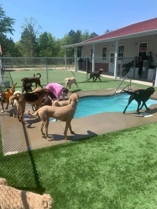 White Knoll Veterinary Hospital & Pet Resort LLC Picture 9