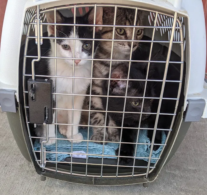 White Knoll Veterinary Hospital & Pet Resort LLC Picture 8