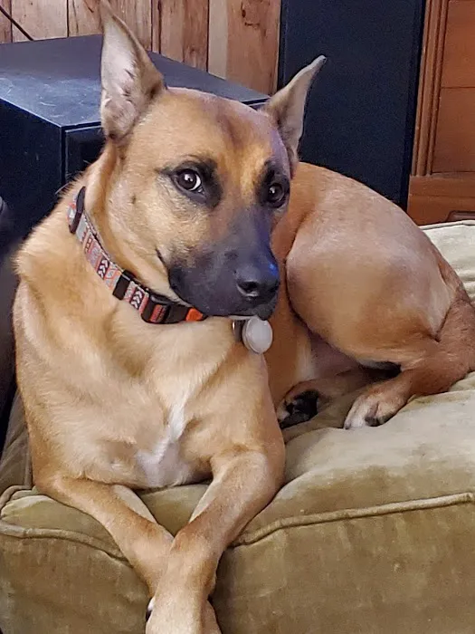 Grace Animal Hospital Picture 2