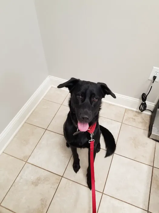 Grace Animal Hospital Picture 6