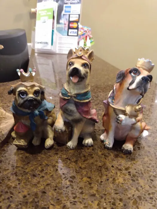 Grace Animal Hospital Picture 8