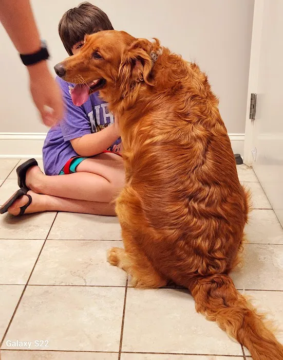 Grace Animal Hospital Picture 7