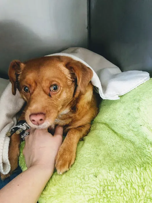 Waleska Animal Hospital Picture 1