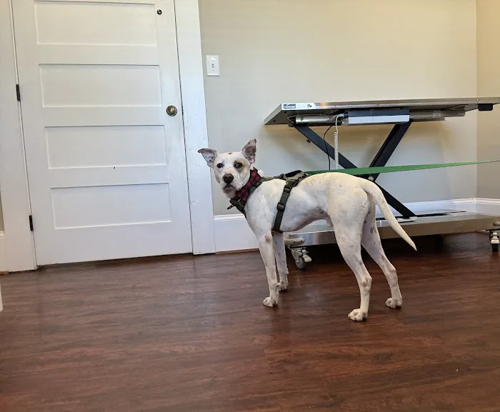 Waleska Animal Hospital Picture 6