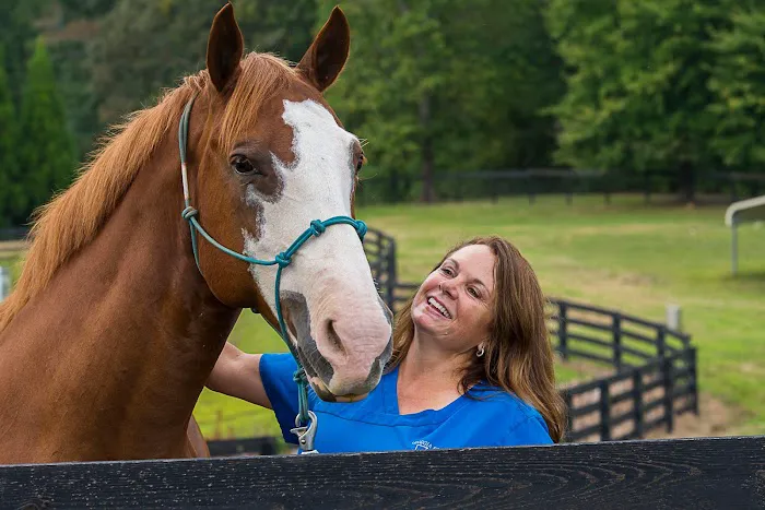 Georgia Equine Veterinary Services and Hospital Picture 2