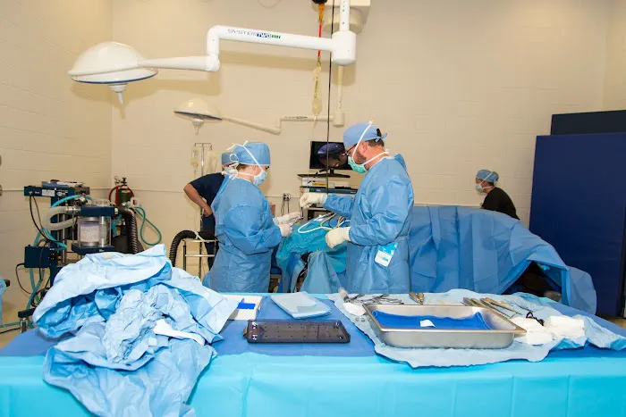Georgia Equine Veterinary Services and Hospital Picture 5