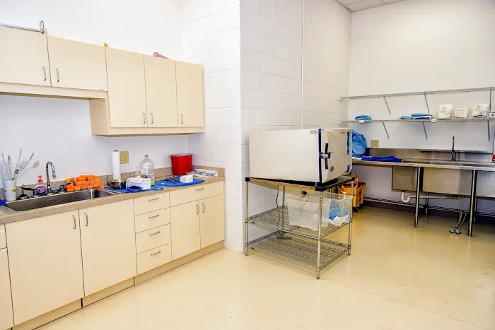 Georgia Equine Veterinary Services and Hospital Picture 4