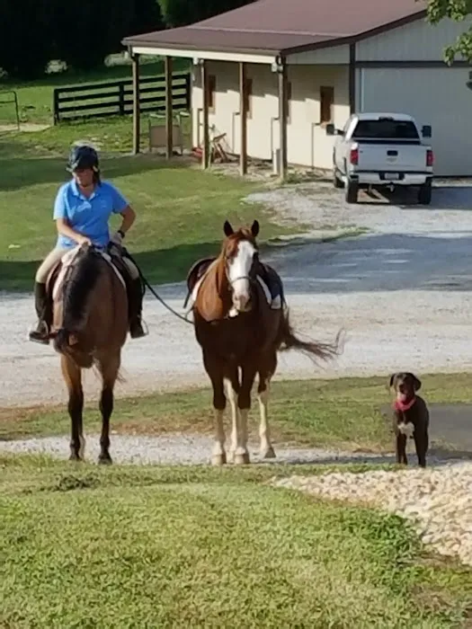 Georgia Equine Veterinary Services and Hospital Picture 9