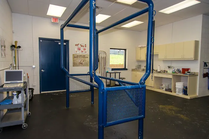 Georgia Equine Veterinary Services and Hospital Picture 10