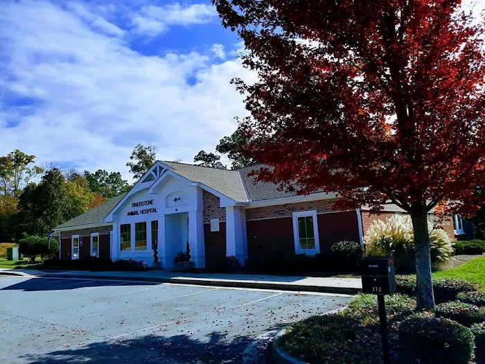 Riverstone Animal Hospital Picture 3