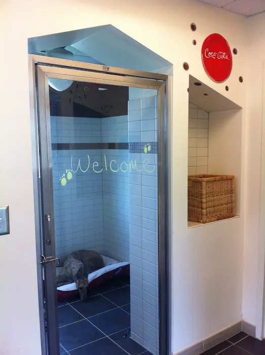 Riverstone Animal Hospital Picture 1