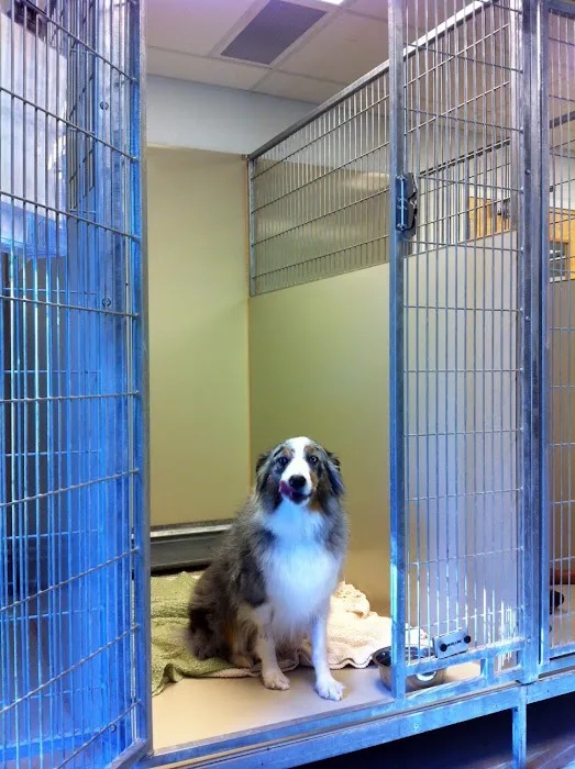 Riverstone Animal Hospital Picture 5