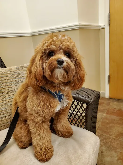 Riverstone Animal Hospital Picture 9