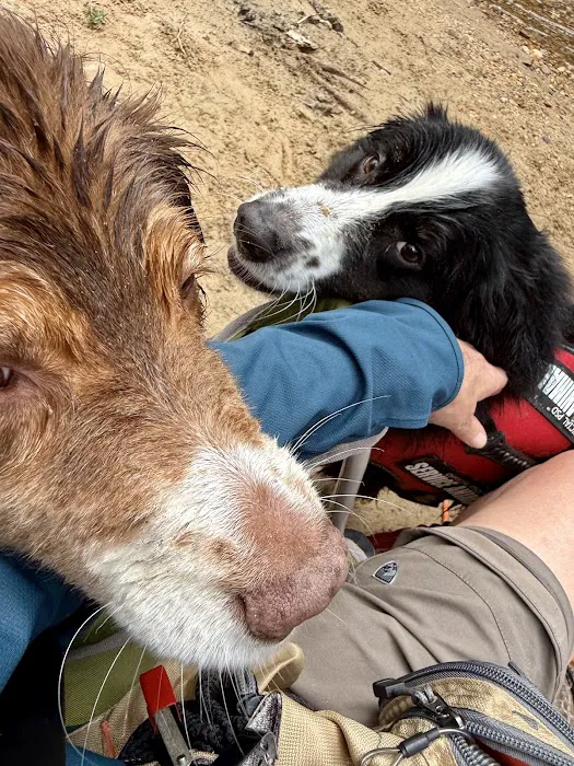 Free Home Animal Hospital Picture 1