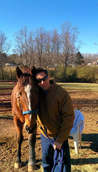Equine Medical Associates Picture 1