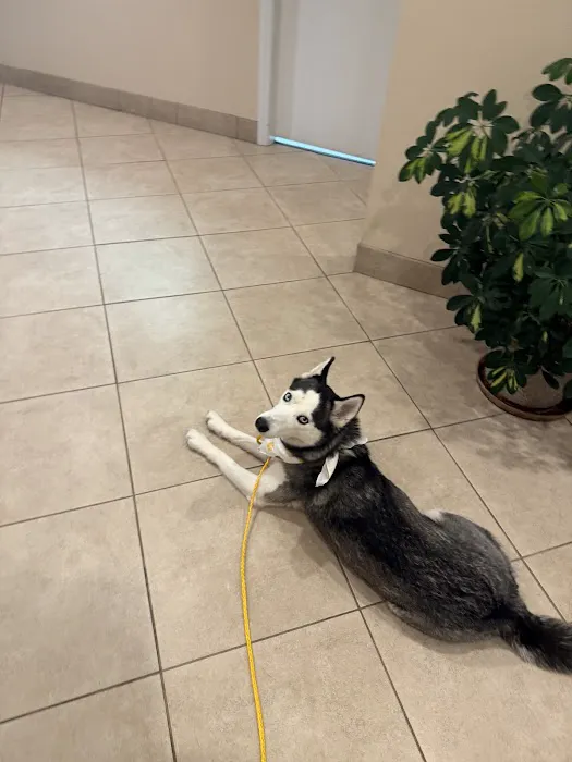 Animal Hospital of New Bern Picture 2