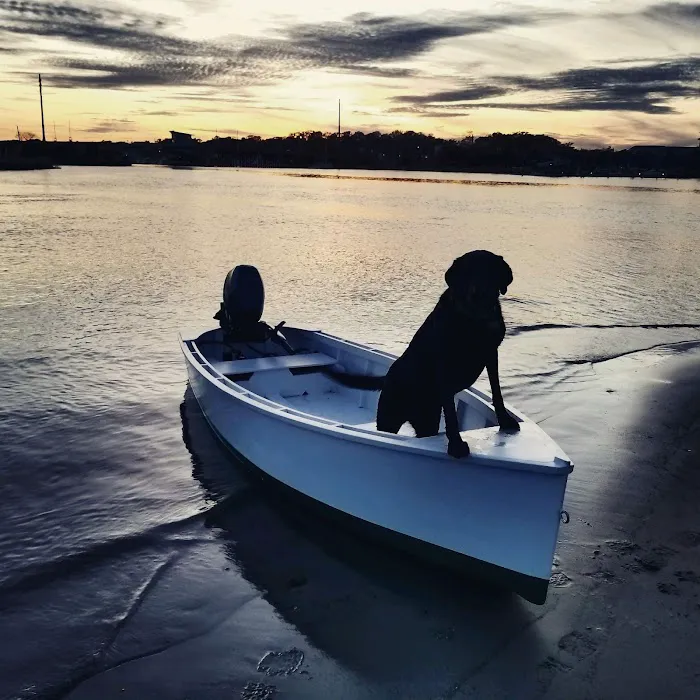 Animal Hospital of New Bern Picture 9