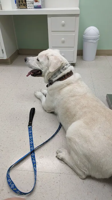 Animal Hospital of New Bern Picture 8
