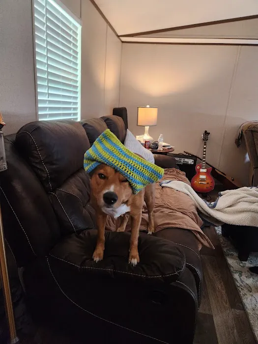 The Pet Hospital Of New Bern Picture 5