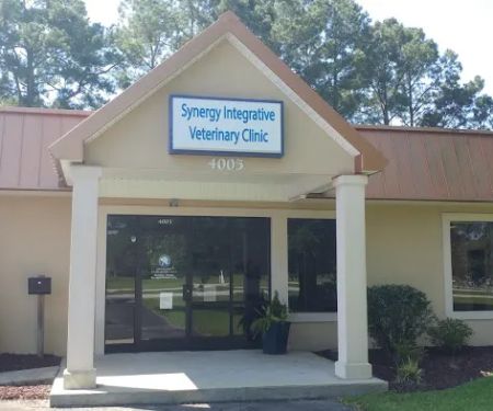Synergy Integrative Specialty Veterinary Clinic
