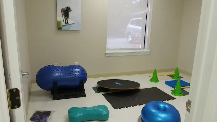 Synergy Integrative Specialty Veterinary Clinic Picture 4