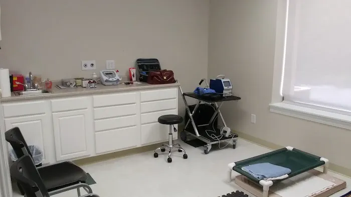 Synergy Integrative Specialty Veterinary Clinic Picture 5
