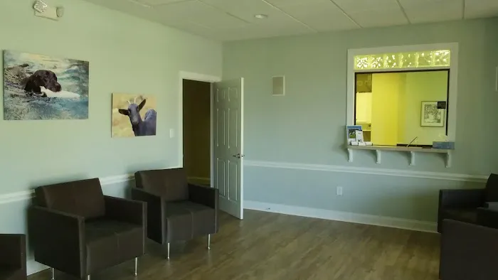 Synergy Integrative Specialty Veterinary Clinic Picture 7