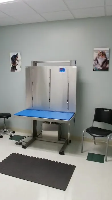 Synergy Integrative Specialty Veterinary Clinic Picture 10